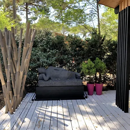 Chalet Villazen - Chalet Exceptionnel Chm Montalivet *